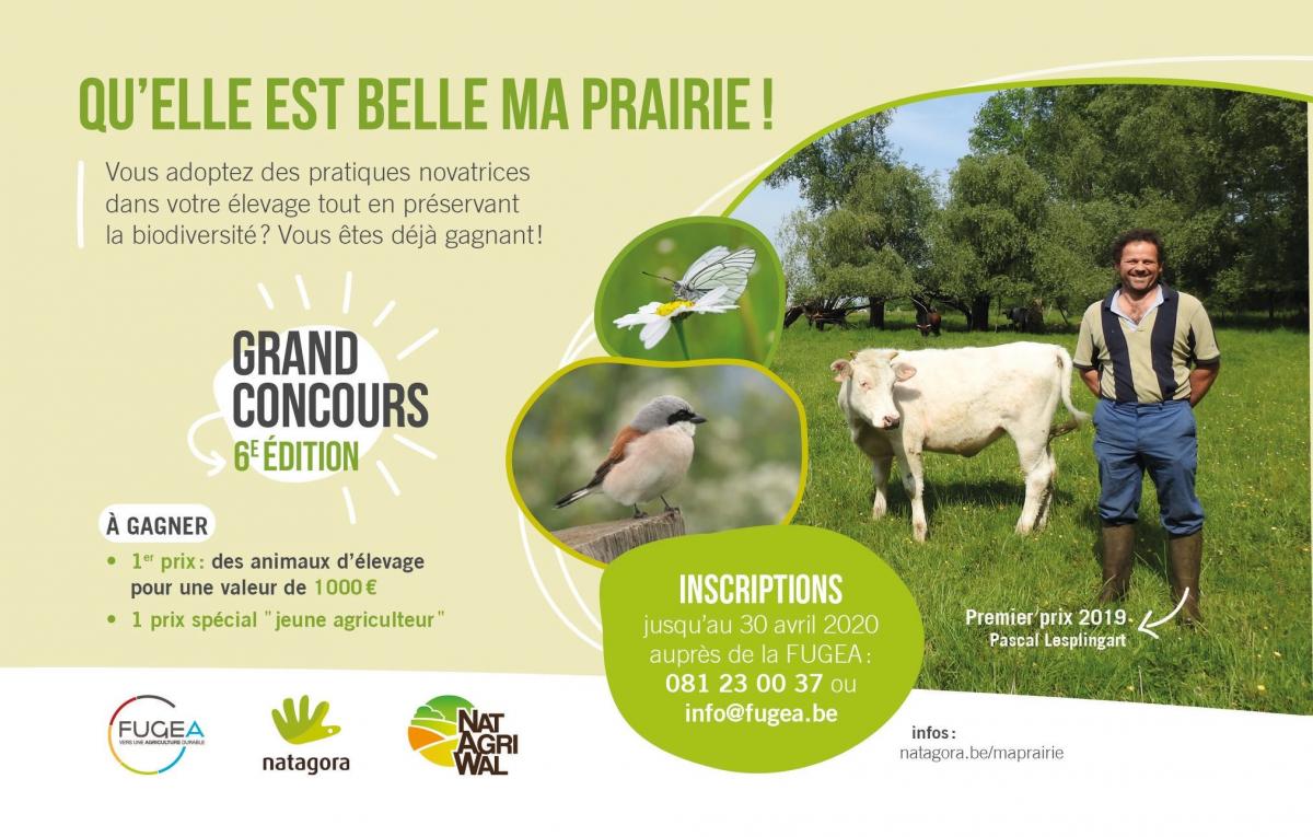 Concours \