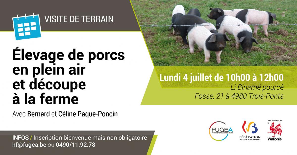 Visite de terrain 4/07 : élevage de porcs en plein air et découpe à la ferme à Fosse (Trois-Ponts)