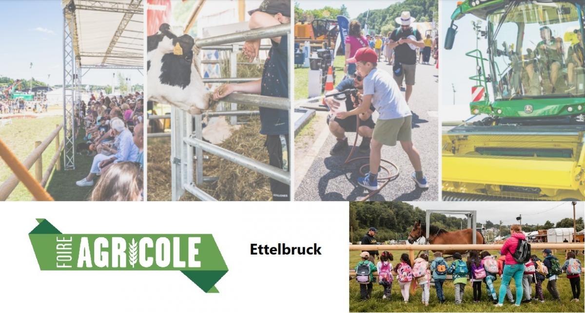 La Foire Agricole d’Ettelbruck (FAE) du 4 au 6 juillet 2025